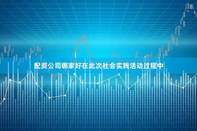 配资公司哪家好在此次社会实践活动过程中